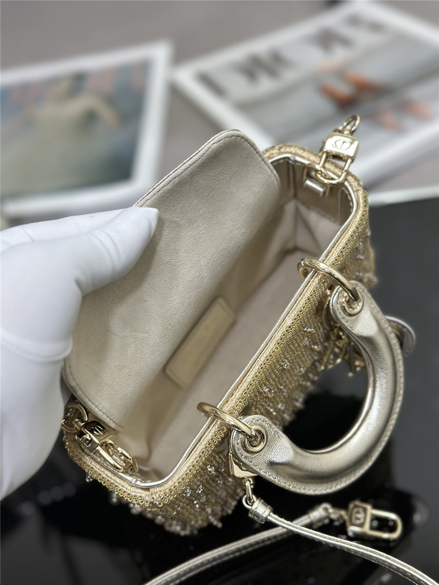 D10r lady d-joy mini embroidered beaded bag