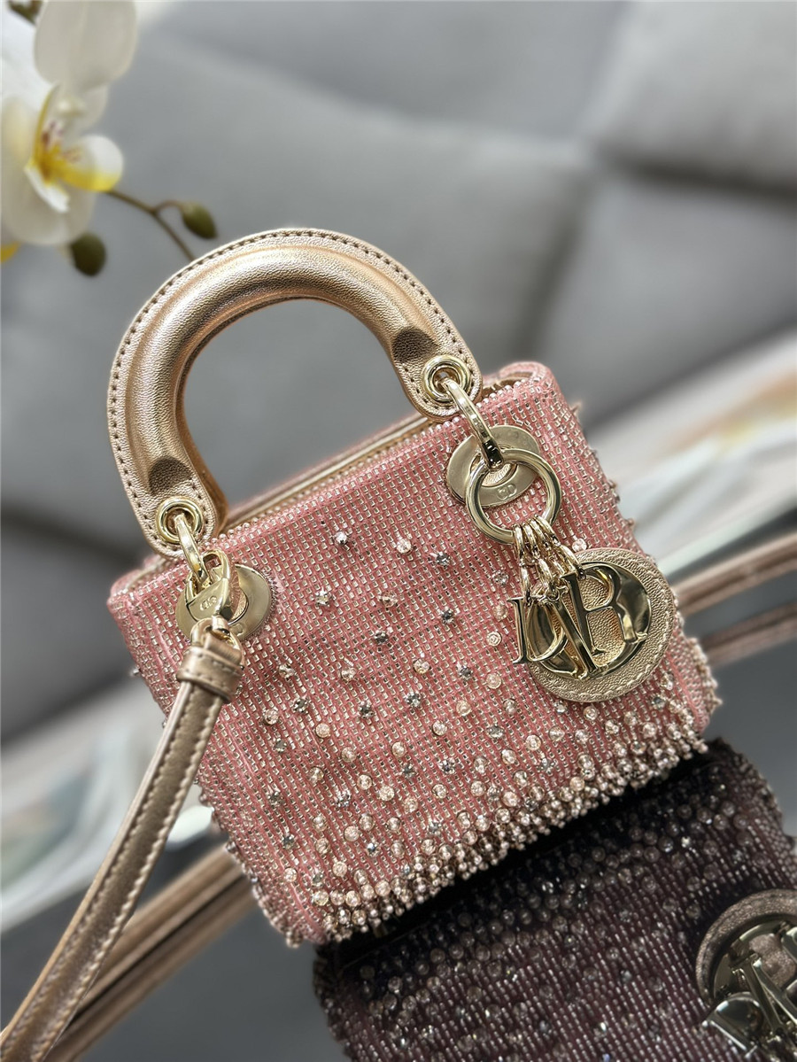 lady D10r mini embroidered beaded bag