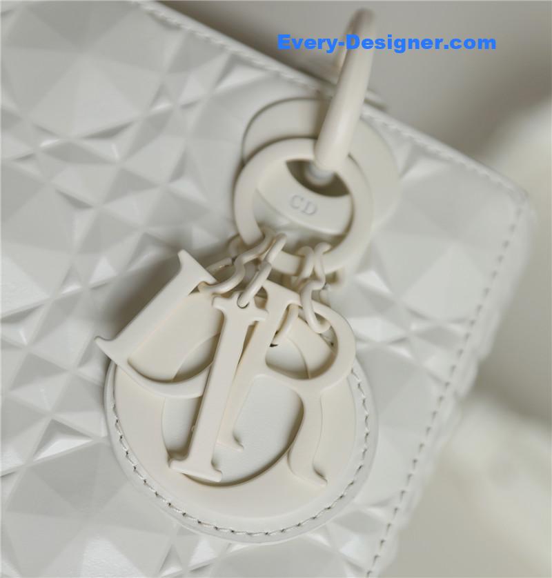 lady D10r my abcD10r bag