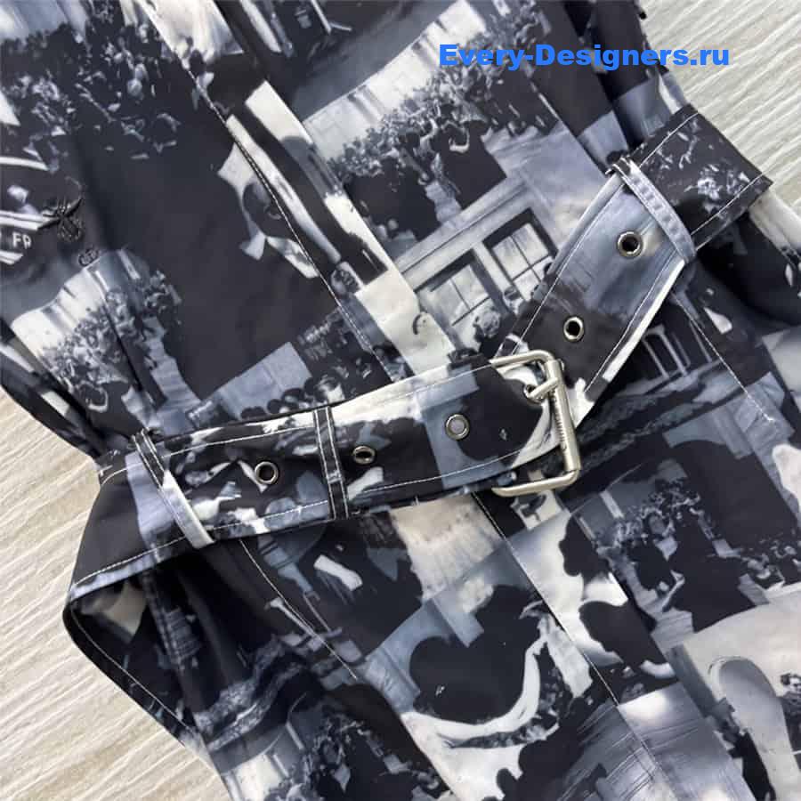 D10r waist dress